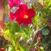 Beverly Koerner Melby - Facebook