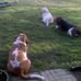 Beverly Lang - Facebook