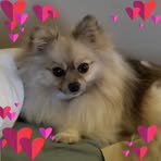 Beverly Lappi - Facebook