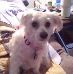 Beverly Dupree Lawson - Facebook