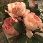 missy lawson & christi beverly - @lawsonbeverlyhome - Instagram