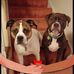 Bev Leavitt - Facebook
