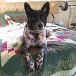Beverly Ledbetter - @ledbetterbeverly - Instagram