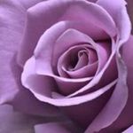 Beverly Lundeen - @beverlylundeen - Instagram