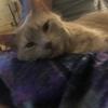beverlylynn222 bev - @beverlylynn222 - TikTok