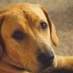 Beverly Mann - @beverlymann3 - Instagram
