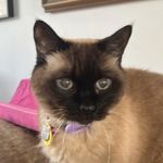 Beverly Mann - @tique99 - Instagram
