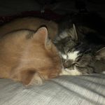 Beverly Mark - @beverlymark68 - Instagram