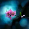 Beverly Mateo Pitts - @user1801197859861 - TikTok