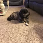 Beverly Mathis - @beverlylmathis - Instagram