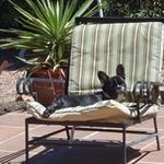 Beverly Mauldin Thompson - @itsablndthing - Instagram