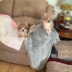 Beverly Maynard - Facebook