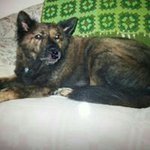 Beverly Mays - @maysbeverly - Instagram