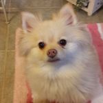 Beverly Mays - @beverly.mays.98 - Instagram