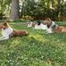 Beverly Mccandless - Facebook