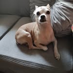 Beverly McCann - @mccannbeverly - Instagram