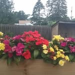 Beverly Mccarthy - @beverly.mccarthy.370 - Instagram