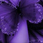 Beverly Arledge Mccraw - @beverlyarledgemccraw - Instagram