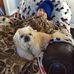 Beverly Mc Daniel - Facebook