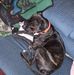 Beverly Mcdaniel - Facebook