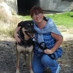 Beverley McDonough - @beverleymcdonough - Instagram