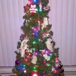 Beverly McDonough - @beverlylovas60 - Instagram