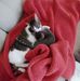 Beverly McEachern - Facebook