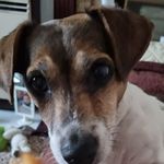 Beverley Mcelroy - @bevmcelroy1 - Instagram