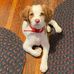 Beverly McElroy - Facebook