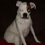 Beverly McElroy - @beverly.mcelroy.7 - Instagram