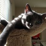 Beverly McFadden Praiswater - @13s_grammy - Instagram