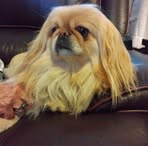 Beverly McFarland - Facebook
