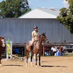 Beverly McGee - @cardinalstables - Instagram