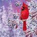 Beverly Mcgovern - Facebook