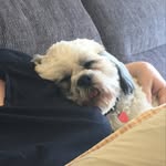 Beverly McGovern - @beverly_mc_govern - Instagram
