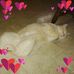 Beverly McGrew - Facebook