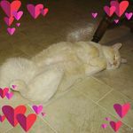 Beverly McGrew - @beverly.mcgrew13 - Instagram