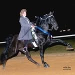 Beverly Mcleod - @beverly.mcleod.982 - Instagram