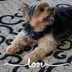 Beverly Mcmaster - @wsmcmaster - Instagram