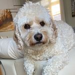 Beverly mcMaster - @liamnissan58 - Instagram