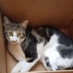Beverly McPhail - @beverly.mcphail.1 - Instagram