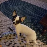 Beverly Mead Brue - @beverlybrue - Instagram