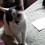 Bev Meagher - @beverly_meagher4200 - Instagram