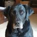 Beverly Meagher - Facebook