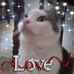 Beverly Merritt Medlock - Facebook