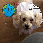 Beverly Meier Shadders - @meiershadders - Instagram