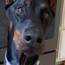 Beverly Lynne - Facebook