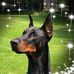 Beverly Mello - Facebook