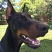 Beverly Mello - Facebook