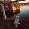 Beverley Melnyck - @beverlymelnyck - TikTok